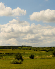 green field and blue sky