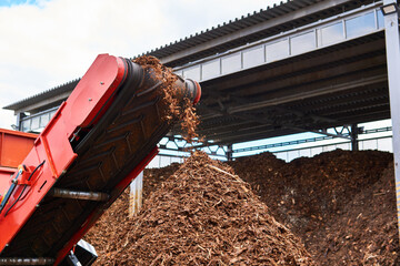 conveyor of industrial woodchipper producing wood chips