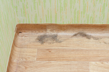 Dust on the floor in the corner of the room. Home cleaning.