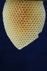 alvéoles d'abeilles

