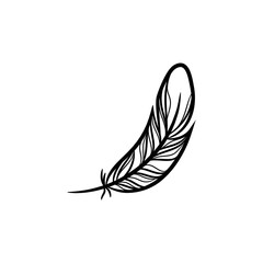 line drawing feather on white background