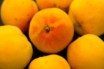 Beautiful orange apricot, Sweet juicy apricot fruit.