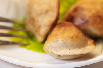 Delicious fried dumplings on a white plate with a fork and greens