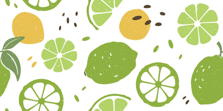 Cute lime seamless pattern. Ripe lime and lime lobules on white background. Vector shabby hand drawn illustration
