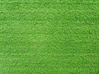 green grass background