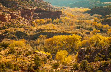 a view from the road between Grand Staircase-Escalante National Monument and Zion National Park, Utah