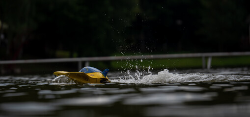 RC controlled speedboat model on lake. Active summer vacation for school child.
