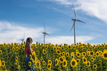Mujer joven en campo de girasoles y molinos de viento