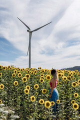 Mujer joven en campo de girasoles y molinos de viento