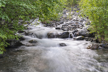Fast rocky stream in the forest