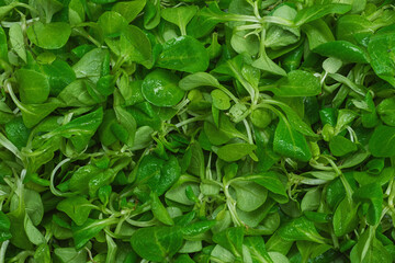 Mash salad on white background.