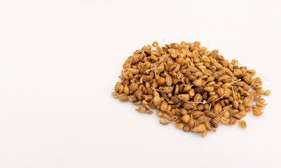 acro view of a pile of dried green anise seeds isolated on white background.