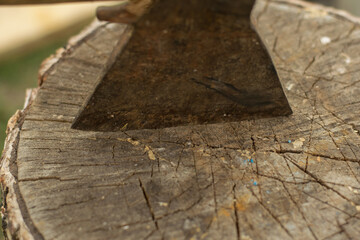 Old ax against a background of green grass. Cleaver.
