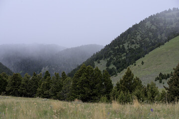 Fog in the mountains of the Helena National Forest, Montana.