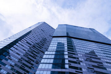 Fototapeta na wymiar contemporary glass skyscrapers reflecting office buildings, bottom upwards view, blue toned