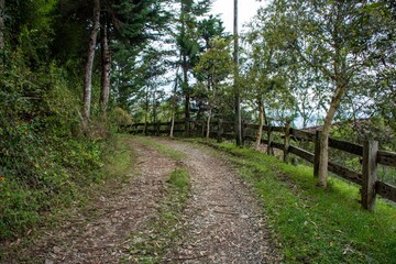 Rural road in the mountains of Antioquia Colombia