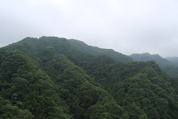 山