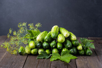 lightly salted cucumbers
Harvesting cucumbers for the winter in jars with dill and garlic. Fermented vegetables