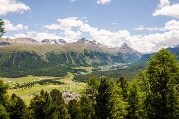 Fototapeta premium Celerina, Oberengadin, Corviglia, Stazerwald, Muottas Muragl, Piz Muragl, Schafberg, Alp Languard, Stazerwald, Wanderweg, Alpen, Graubünden, Sommer, Schweiz