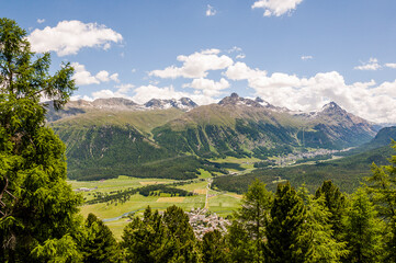 Celerina, Pontresina, Oberengadin, Corviglia, Stazerwald, Muottas Muragl,  Piz Muragl, Piz Languard, Schafberg, Alp Languard, Bernina, Wanderweg, Alpen, Graubünden, Sommer, Schweiz