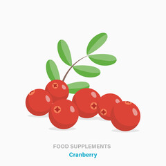 Vector flat isolated icon of food supplements - cranberry