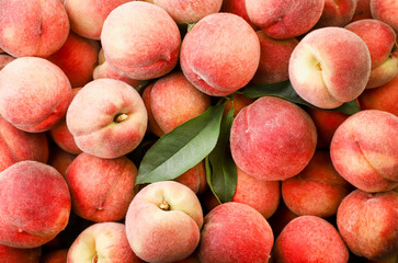 Peaches with leaves close-up, background. The view from top