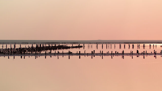 Beautiful salty pink lake. Travel in summer. Genichesk, Ukraine