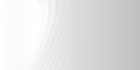Abstract white wave curve on grey luxury background vector illustration.