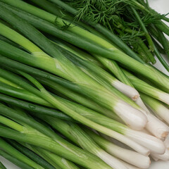 Close-up view of garden fresh greens. Green onions and dill. Healthy fresh food background. Plants background and texture. Space for text.