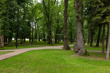 Fototapeta na wymiar 15.08.2020 Balneological resort Truskavets city, Lviv region, Ukraine. Truskavets resort park.