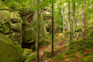 Giant stones and rocks are covered with moss among the beech forest. Polyanytskyi Regional Landscape Park, Dobusha Rocks, Carpathians, Ukraine. Sandstone rocks among the beech forest in summer time.