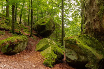 Giant stones and rocks are covered with moss among the beech forest. Polyanytskyi Regional Landscape Park, Dobusha Rocks, Carpathians, Ukraine. Sandstone rocks among the beech forest in summer time.