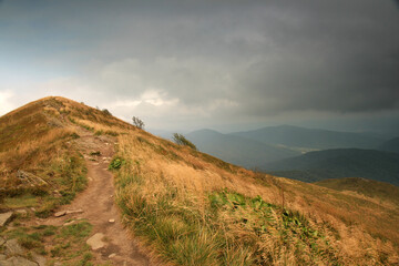 Path through the Bieszczady Mountains.