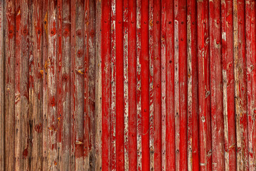 Abstract Background of old painted wood. Wooden fence with traces of old cracked faded paint on the...