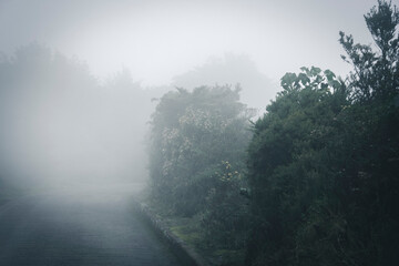 Foggy Road to Volcano Poas in Costa Rica