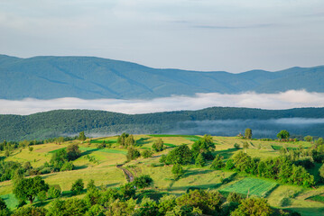 morning in the green mountains in the fog. beautiful landscape. summer in the mountains...