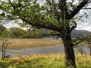 Ireland Landscapes
