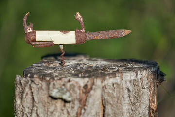Rusty old vintage pocketknife on top of a stump on summer evening in the forest
