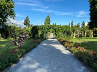 Italian Rose Garden or Italienscher Rosengarten (Flower Island Mainau on the Lake Constance or Die...