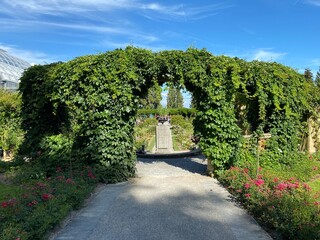 Italian Rose Garden or Italienscher Rosengarten (Flower Island Mainau on the Lake Constance or Die...