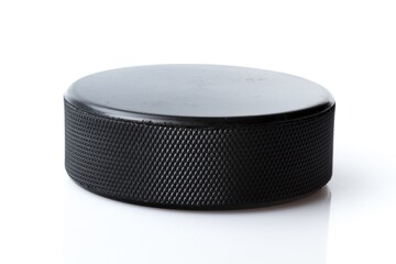 Hockey Puck