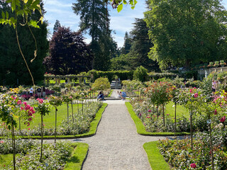 Italian Rose Garden or Italienscher Rosengarten (Flower Island Mainau on the Lake Constance or Die...