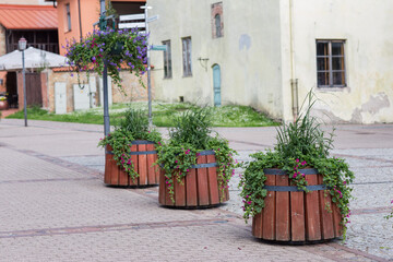 Fototapeta na wymiar flowerpots on the street in the old town