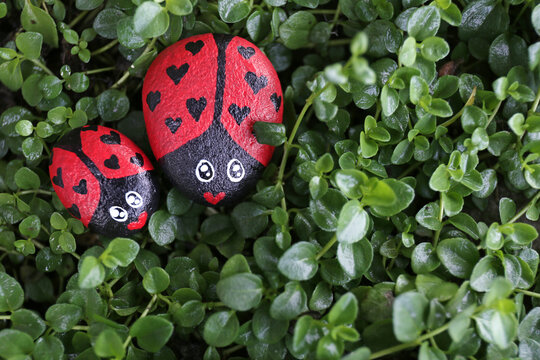 A Couple of Painted Lady Bug Kindess Rocks with Heart Designs on Green Plant Background