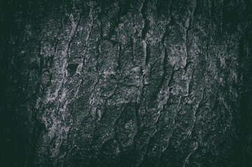 Abstract dark gray background. The texture of the bark of a tree.