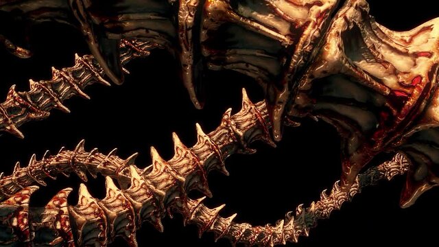 Chain From Bones VJ Loop is a motion graphics clip featuring demonic spine bones with spikes and pieces of bloody red flesh. This video is perfect for VJ thematic sets, metal and gothic festivals, Hal