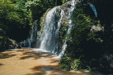 waterfall in the forest