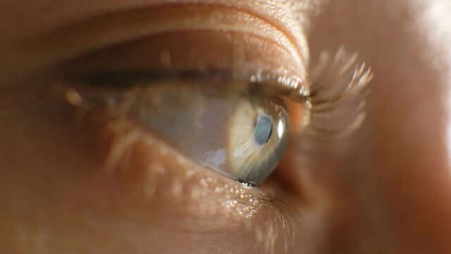 eye of young woman with moving light grey green pupil and red veins with long lashes and pencil line extreme close view