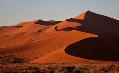 Fototapeta na wymiar Red sand dunes of the Namib desert