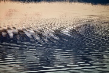 Silver surface of calm water with golden highlights and reflections. Ripples on water surface close-up. Glowing surface of the water. Silver metal surface with golden highlights close-up. Abstract.